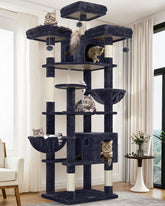 Globlazer F82 top perches offering sunny views for multiple cats.
