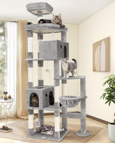 Globlazer giant cat tree condo offers privacy and comfort for large cats