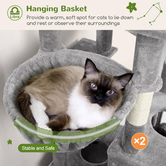 Globlazer double scratching boards satisfy scratching needs while keeping furniture safe
