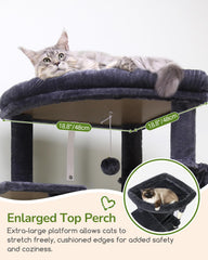 Globlazer seven sisal posts for scratching and exercise