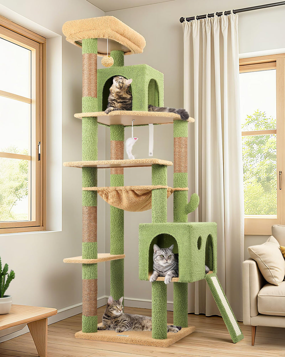 Globlazer large cactus cat tree top perch for elevated view and comfy rest for cats.