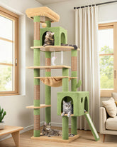 Globlazer large cactus cat tree top perch for elevated view and comfy rest for cats.