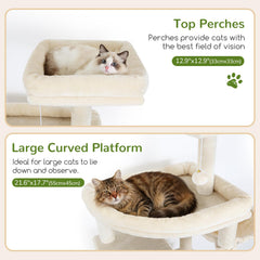 Globlazer three spacious condos offer private space for cats