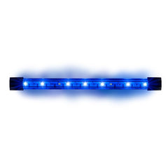 GloFish light stick in white mode glows for a clean daytime look.