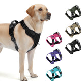 Glohoop heavy-duty harness with front clip for secure control during walks.