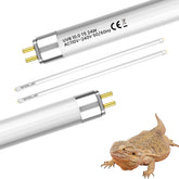 GlowUp 22-inch T5 HO UVB bulb over a terrarium showing wide coverage for bearded dragon.