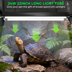 GlowUp UVB bulb in a desert-dwelling reptile setup for even illumination.