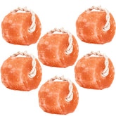Glowyn Pink Himalayan Salt Lick rope hanging for hydration and minerals
