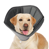 Gmkato Soft Cone on a dog resting to deter licking wounds.