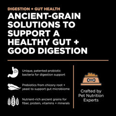 Go! Solutions chicken-free salmon recipe image emphasizes easy digestion and gut health.