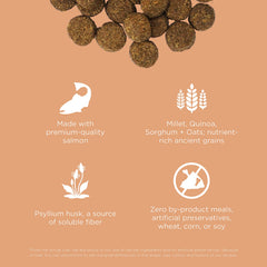 Go! Solutions psyllium husk and chicory root fiber for gentle digestion.