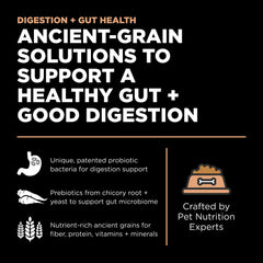 Go! Solutions Digestion Salmon Kibble highlights ancient grains and fiber for gentle digestion.