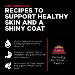 Go! Solutions Skin Coat Lamb dry dog food kibble closeup highlighting omega rich formula