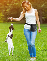 Gobeigo 8-Cup Treat Pouch three wearing options shown