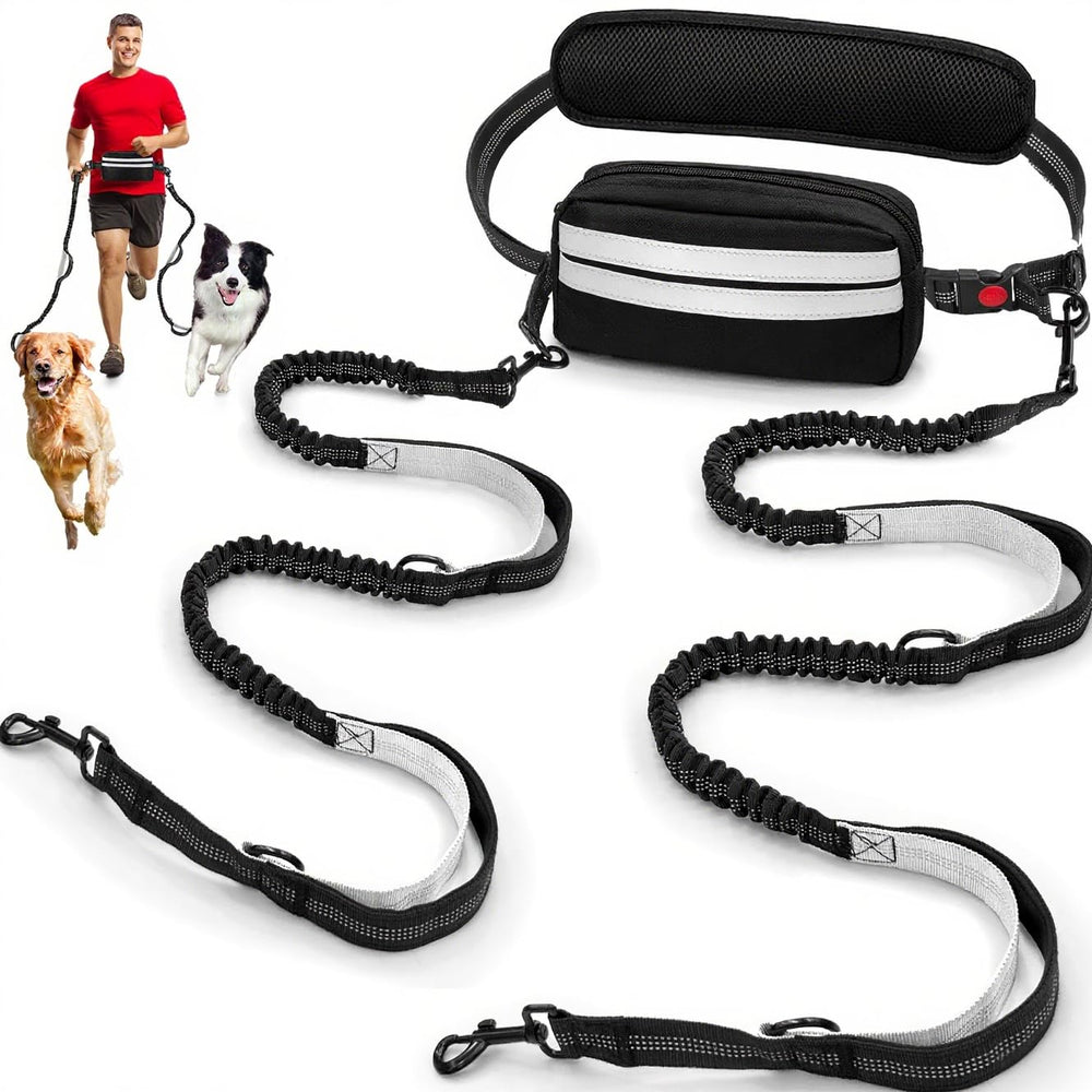 Godyoy two-dog waist leash setup shows hands-free control while walking two dogs