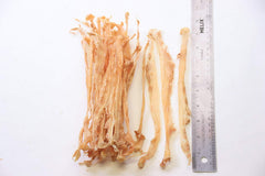 GOGO Turkey Tendon Strips serving-suggestion: great for training rewards and treats.