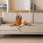 Gogobunny 3X Stronger Waterproof Pet Blanket on sofa shields furniture from scratches and spills.