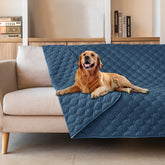 gogobunny 3X stronger waterproof pet blanket guards your sofa against spills
