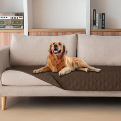 Gogobunny 3x Stronger Waterproof Pet Blanket on a sofa protects from spills