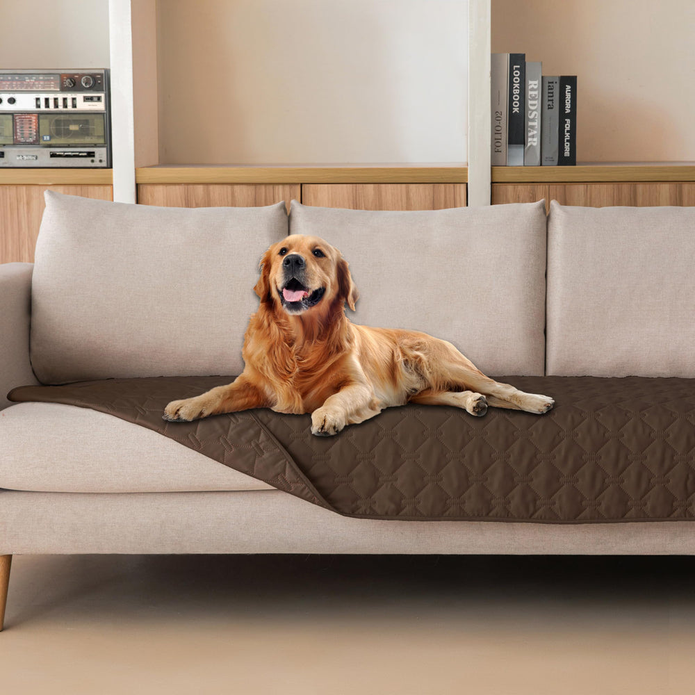 Gogobunny 3X waterproof pet blanket protects furniture from messy spills.