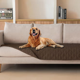 Gogobunny 3X waterproof pet blanket protects furniture from messy spills.