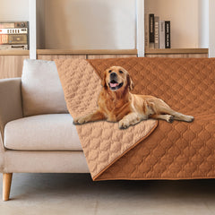 Gogobunny double-sided waterproof bed cover protects a large dog bed.