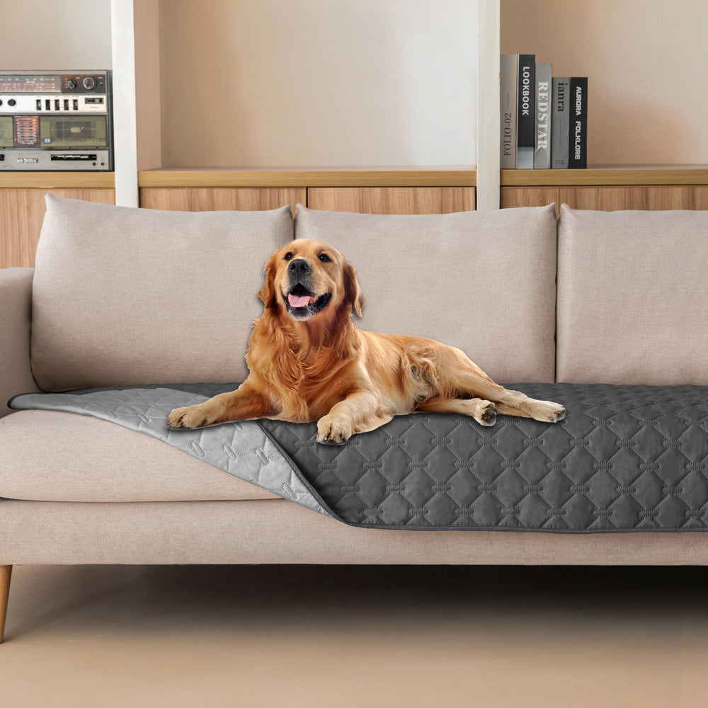 Gogobunny dog bed cover with waterproof outer layer protects furniture from spills