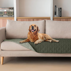 Gogobunny dog blanket with double-sided waterproof design protects furniture.