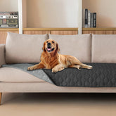Gogobunny dog blanket with waterproof layer protects furniture from moisture.