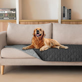 Gogobunny dog blanket waterproof outer layer with inner membrane for double protection.