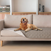 Gogobunny dog blanket with waterproof outer layer for furniture lounging.
