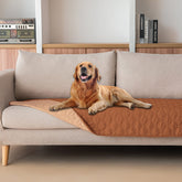 Gogobunny double-sided waterproof bed cover on a sofa protecting furniture.