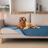 Gogobunny double-sided waterproof dog bed cover protects furniture from spills.