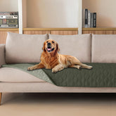 Gogobunny double-sided waterproof blanket on sofa protects furniture.