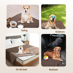Gogobunny pet blanket shields sofa with 30x70 coverage