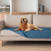 GoGoBunny waterproof pet blanket protecting sofa from paws and spills.