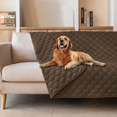 Gogobunny waterproof pet blanket protects furniture from spills and fur.