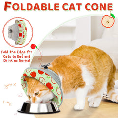 GoGoPaw foldable cat cone allows normal meals and relaxed sleep
