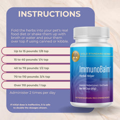 Gold Standard Herbs ImmunoBalm on dog paw demonstrates easy topical friendly use.