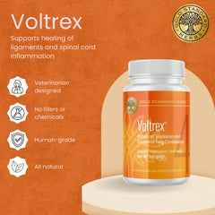 Voltrex supports joint healing and mobility in dogs.
