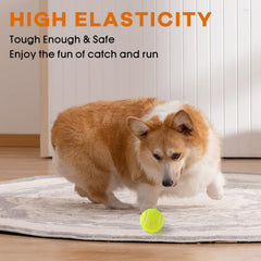 Gonioa tennis balls with natural rubber and felt for durability