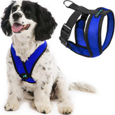 Gooby Comfort X Harness blue large front view showing no-pull design for safe walks.
