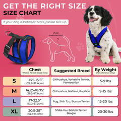 Gooby Comfort X Harness D-ring attachment for secure leash control during walks.
