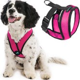 Gooby Comfort X Harness Flamingo Pink front view, no-pull design for small dogs.
