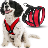 Gooby Comfort X Harness red, small chest, reduces neck pressure during walks.