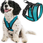 Gooby Comfort X Head-in Harness in turquoise, side view shows secure fit.