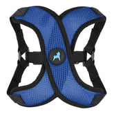 Gooby Comfort X Step in Lite Harness blue buckle for secure daily walks.