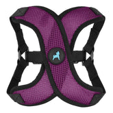 Gooby Comfort X Step in Lite Harness purple medium, front view, secure step-in fit for daily walks.