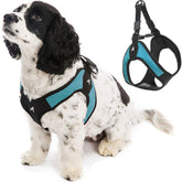 Gooby escape-free design harness for secure small dog walks.