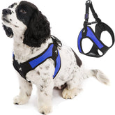 Gooby Escape Free Easy Fit Harness blue front view for escape-proof walks
